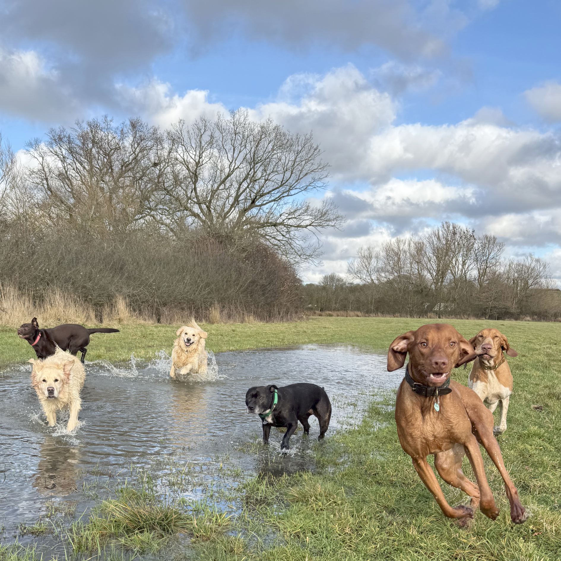 The gang splashing through a flooded field